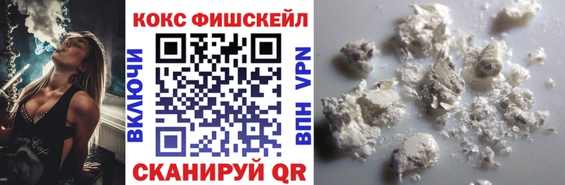 закладка Анива COCAIN FishScale