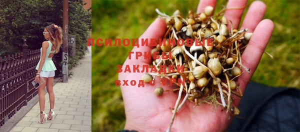 трава Алзамай
